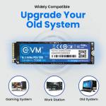 EVM 512GB Gen 3 NVMe (2280) InternalSSD - 3200MB/s Read - PCIe Gen 3x4-5-Year Warranty (EVMNV/512GB)