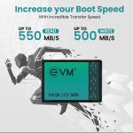 EVM 512GB 2.5-Inch SATA Internal SSD - 550MB/s Read & 500MB/s Write - 5-Year Warranty (EVM25/512GB)