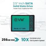 EVM 256GB 2.5-Inch SATA Internal SSD - 550MB/s Read & 500MB/s Write - 5-Year Warranty (EVM25/256GB)