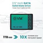 EVM 1TB 2.5-Inch SATA Internal SSD - 550MB/s Read & 500MB/s Write - 5-Year Warranty (EVM25/1TB)