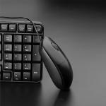 RAPOO 100 Wired USB Mouse, 3 yr Warranty, 1600 DPI Optical Tracking, Ambidextrous PC/Mac/Laptop - Black